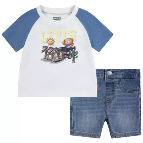 Conjunto Levis