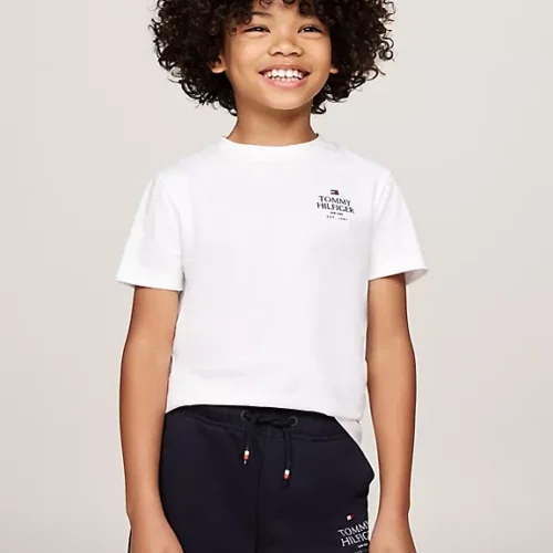 Basica Tommy Logo
