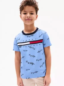 Signature Flag Stripe Logo T-Shirt