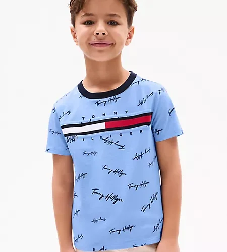 Signature Flag Stripe Logo T-Shirt