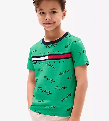 Signature Flag Stripe Logo T-Shirt