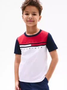 Colorblock Flag Stripe T-Shirt