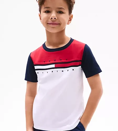 Colorblock Flag Stripe T-Shirt