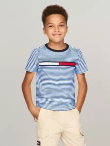 Flag Logo Stripe T-Shirt