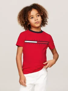 Flag Stripe Logo T-Shirt