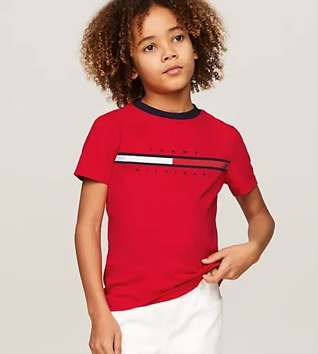 Flag Stripe Logo T-Shirt