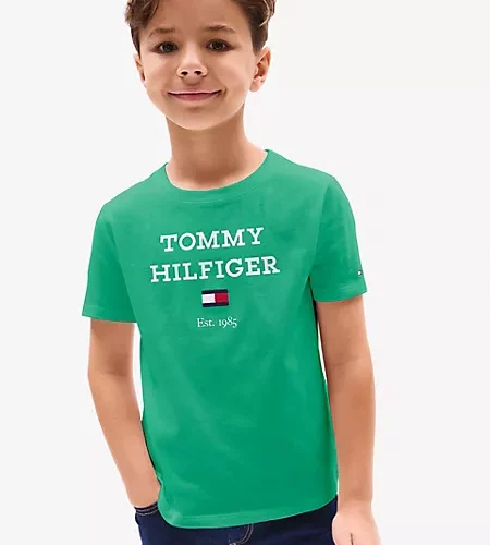 Hilfiger Logo T-Shirt Negro-Verde-Blanco-Azul-Gris