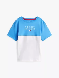 Colorblock Flag Stripe T-Shirt