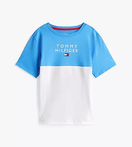 Colorblock Flag Stripe T-Shirt