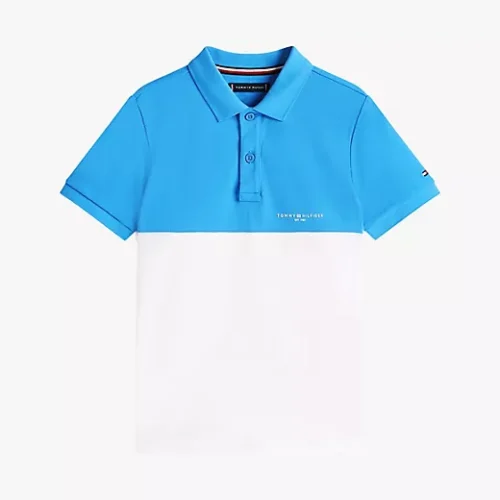 Embroidered Tommy Logo Polo