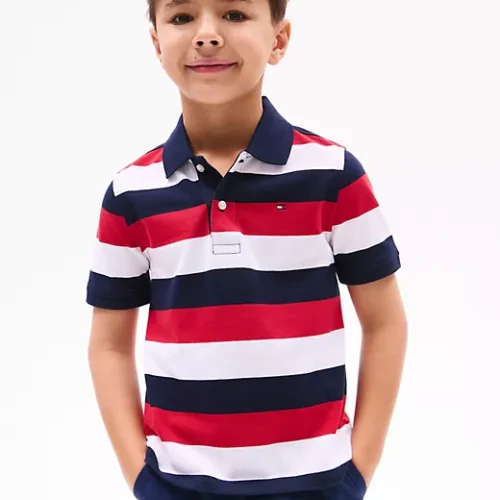 Block Stripe Polo