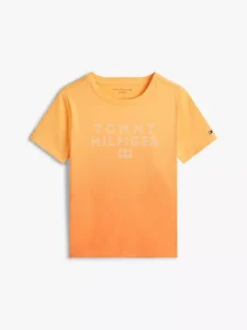 Hilfiger Logo T-Shirt