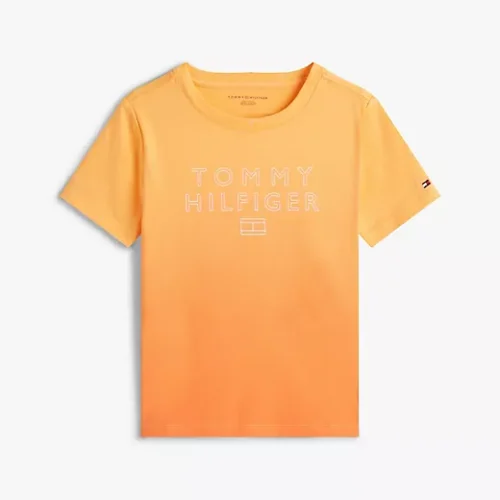 Hilfiger Logo T-Shirt