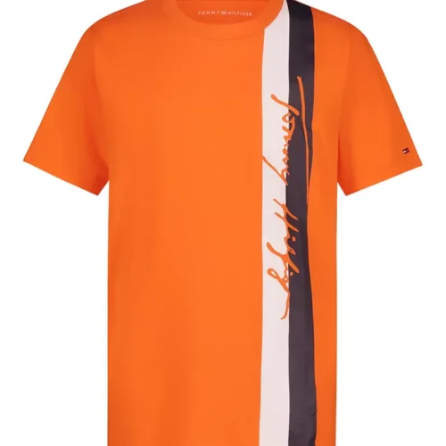 Tomas Shirt Talla 2 Hasta Talla 7