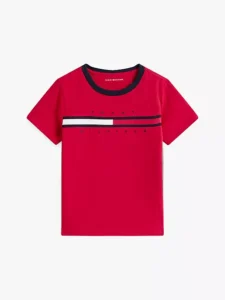 Flag Stripe Logo T-Shirt Disponible 3 Colores