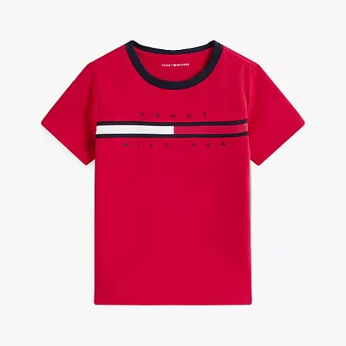 Flag Stripe Logo T-Shirt Disponible 3 Colores