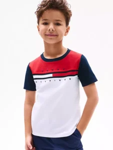 Flag Stripe Logo T-Shirt