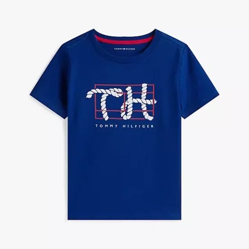 Flag Stripe Logo T-Shirt