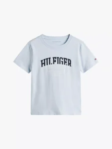 Flag Stripe Logo T-Shirt