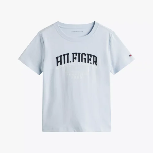 Flag Stripe Logo T-Shirt